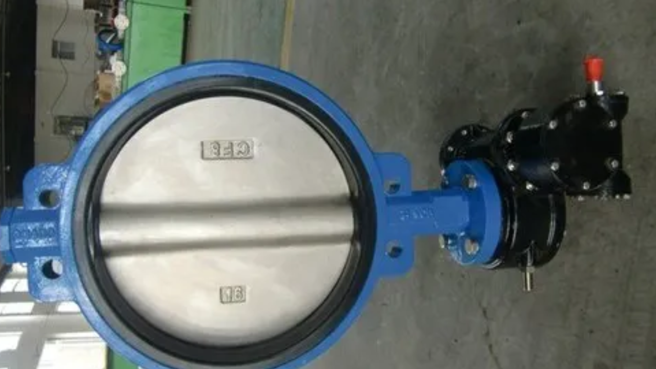 How Do You Elaborate the Specific Key Facts About Lug Type Butterfly Valve?